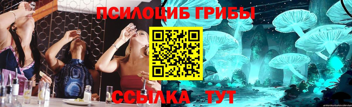 продажа наркотиков  Галлюциногенные грибы прущие грибы  Псилоцибиновые грибы MAGIC MUSHROOMS  Вход с VPN  Мценск 